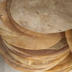 Buffalo Skins