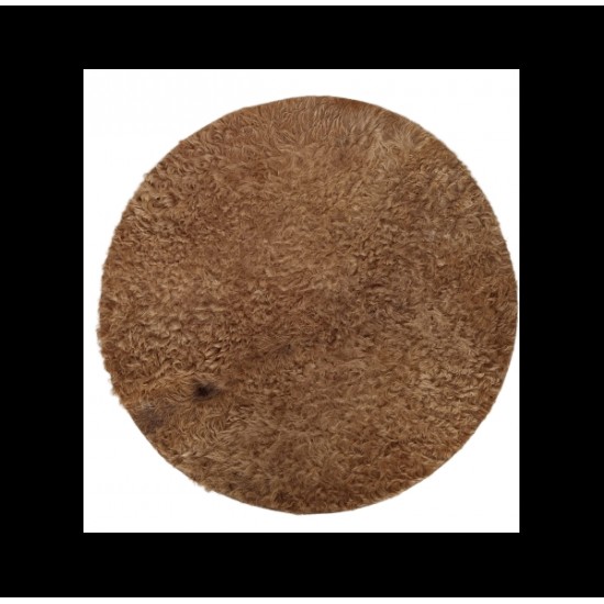 Camel  Skins