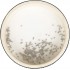 Ocean Drum